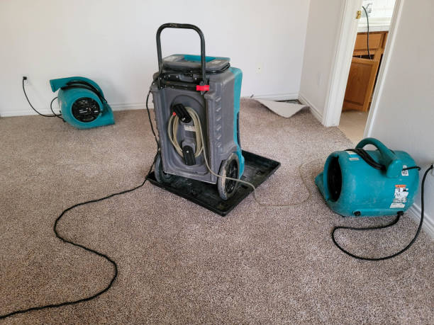 Best 24/7 water damage repair  in Chattanooga, TN