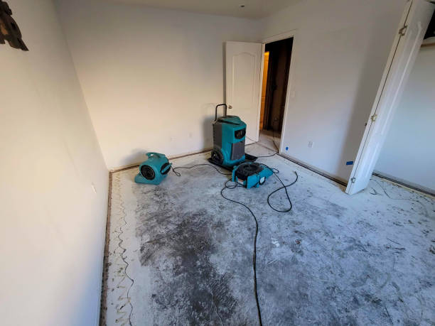 Best Flooded house restoration  in Chattanooga, TN