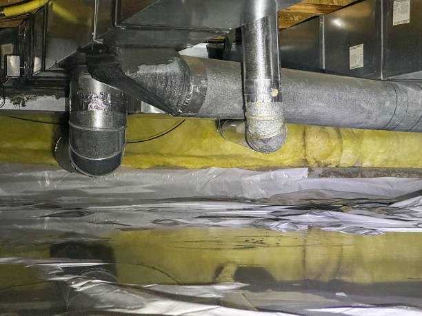 Best Basement water damage restoration  in Chattanooga, TN