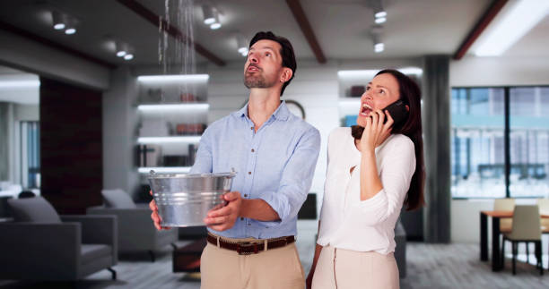 Best Mold removal after water damage  in Chattanooga, TN